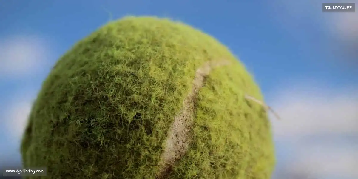 米兰官网🚣‍♀️同舟共济，破浪前行 —— 体育的精神，是团结与坚持的力量！