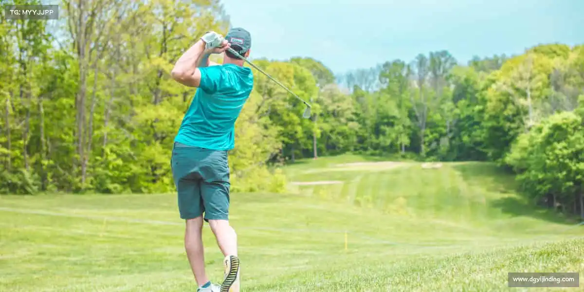 为什么选择我们